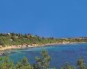 Aegina