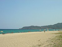 Sarti Sarti