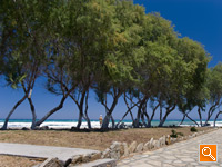 Samos Island, North East Aegean Islands, Greece